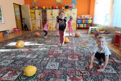 IMG_20241021_104310155