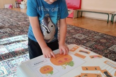 IMG_20241021_115336237_HDR