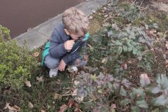 IMG_20260325_101645-scaled