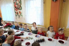 IMG_20231222_120835266